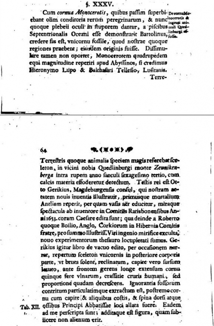 Gottfried Wilhelm Leibniz: Protogaea sive de prima facie telluris et antiquissimae historiae vestigiis, Göttingen 1749